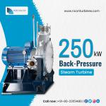 Power of Back Pressure Steam Turbines | Nconturbines.com - Services advertisement in Bangalore