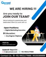 We are hiring Digital Marketing Executive - Services advertisement in Patna