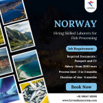 Norway Hiring: Skilled Laborers for Fish Processing! - Services advertisement in Ahmedabad