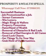 Prosperity spells for all business problems - Services advertisement in Dehri