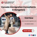 Turn your Canadian dream into reality with Novus Immigration - Services advertisement in Bangalore