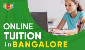 Code to A+'s: Bengaluru's Online Tuition Chronicles for Academic Triumph - photo