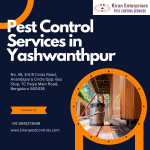 Pest Control Services in Yashwanthpur | Safe & Effective Solutions - Services advertisement in Bangalore